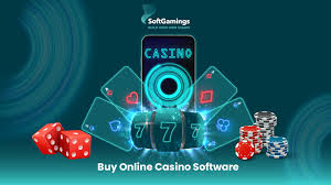 A Go up with On the internet Gambling establishments: A new Electronic digital Playing Trend